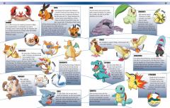 Pokemon Encyclopedia Updated and Expanded 2022