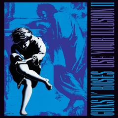 Use Your Illusion II - Vinyl