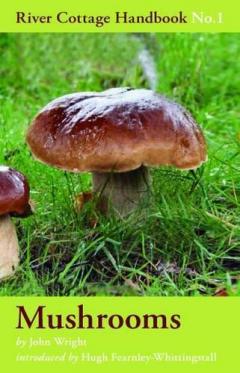 Coperta cărții Mushrooms