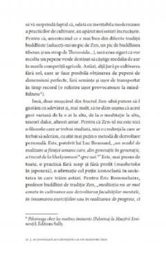 Actioneaza si gandeste ca un maetru Zen