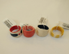 Inel, mai multe modele