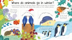 Where Do Animals Go in Winter?