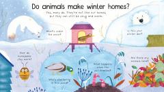 Where Do Animals Go in Winter?