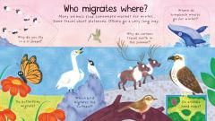 Where Do Animals Go in Winter?