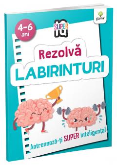Rezolva labirinturi