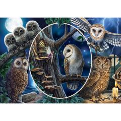 Puzzle 1000 piese - Lisa Parker - Mysterious Owls