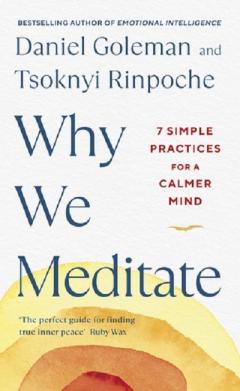 Why We Meditate