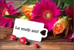 Felicitare - Fizzy Moon - La multi ani!