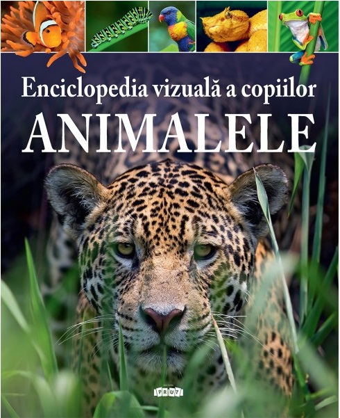 Enciclopedia vizuala a copiilor. Animalele