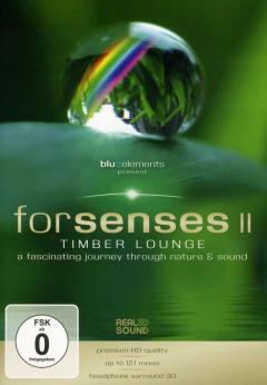 Forsenses II 