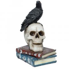 Decoratiune - Crow Standing on Skull and Books