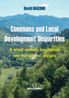 Commons and Local Development Disparities