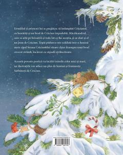 Un brad de Craciun pentru macaleandru