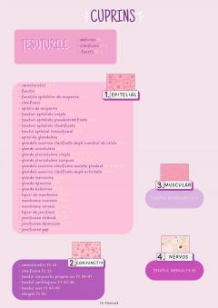 Kit 53 Cartonase - Tesuturi