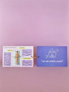 Kit 34 Cartonase - Introducere