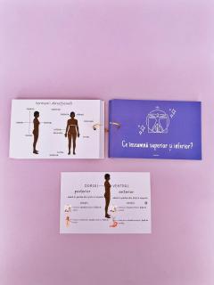 Kit 34 Cartonase - Introducere