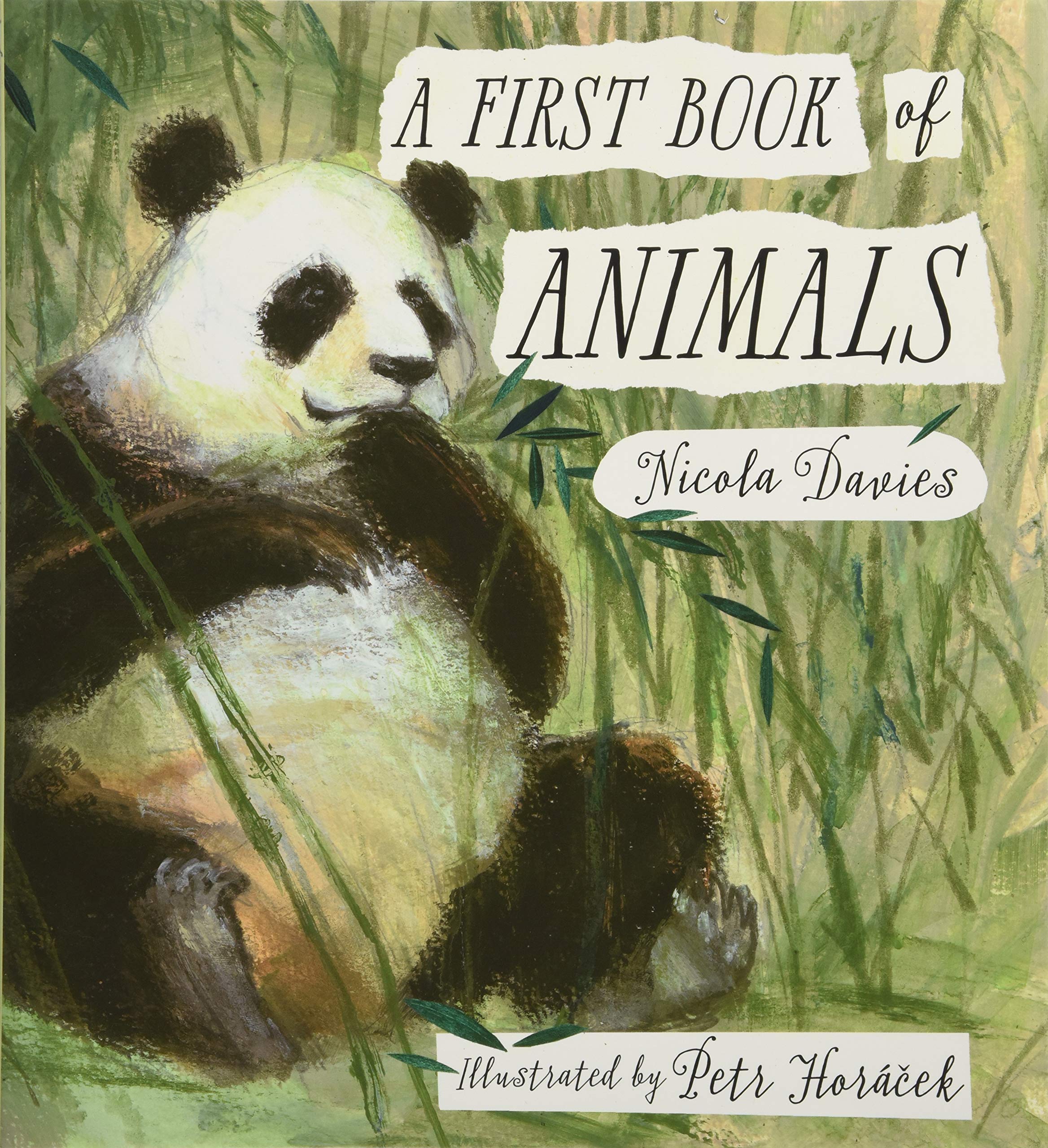 A First Book of Animals - Nicola Davies