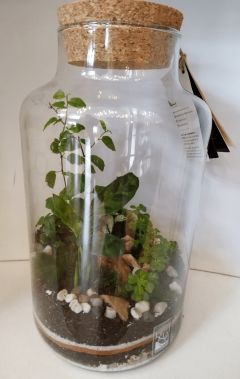 Terariu - Borcan cilindric cu dop de pluta