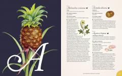 The Complete Language of Food