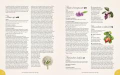 The Complete Language of Food