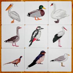 Tril. Descopera pasarile din Delta Dunarii