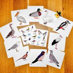 Tril. Descopera pasarile din Delta Dunarii