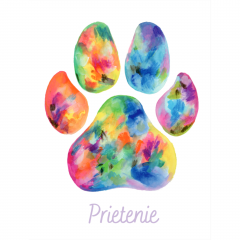 Felicitare - Seria Paw Print - Culori - Prietenie