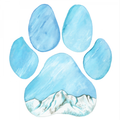 Felicitare - Paw Print - Munte