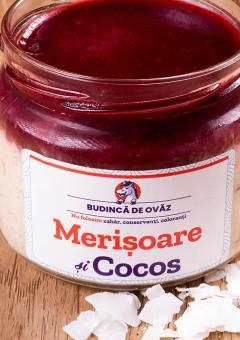 Ovaz cu merisoare si cocos