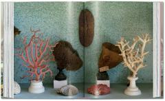 Massimo Listri. Cabinet of Curiosities