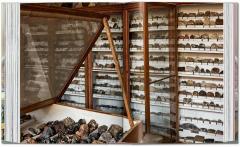 Massimo Listri. Cabinet of Curiosities