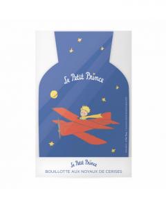 Incalzitor cu apa calda - The Little Prince, Plane