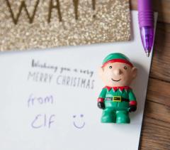 Figurina - Grow a Christmas Elf