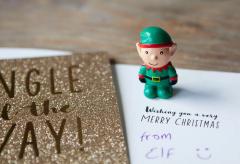 Figurina - Grow a Christmas Elf