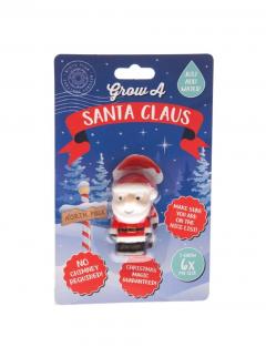 Figurina - Grow A Santa Claus