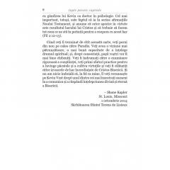 Sapte pacate capitale