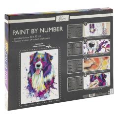 Pictura pe numere - Catel