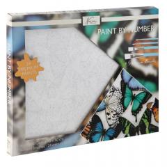 Set pictura pe numere - Fluturi