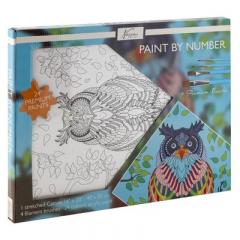 Set pictura pe numere - Bufnita