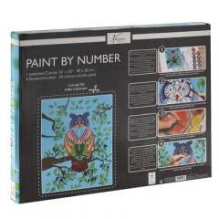 Set pictura pe numere - Bufnita