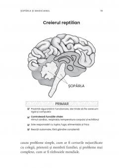 Desteptarea