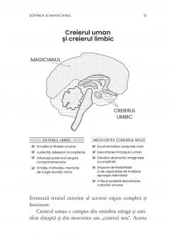 Desteptarea