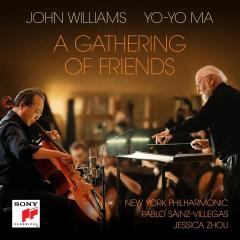 A Gathering Of Friends - Vinyl