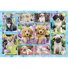 Puzzle 200 piese - Puppies