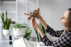 Puzzle mecanic - Mad Hornet Airplane