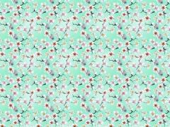 Carti postale - Cherry Blossom