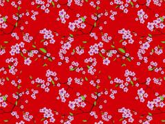 Carti postale - Cherry Blossom