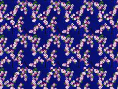 Carti postale - Cherry Blossom