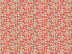 Carti postale - Cherry Blossom