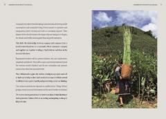 Regenerative Fashion